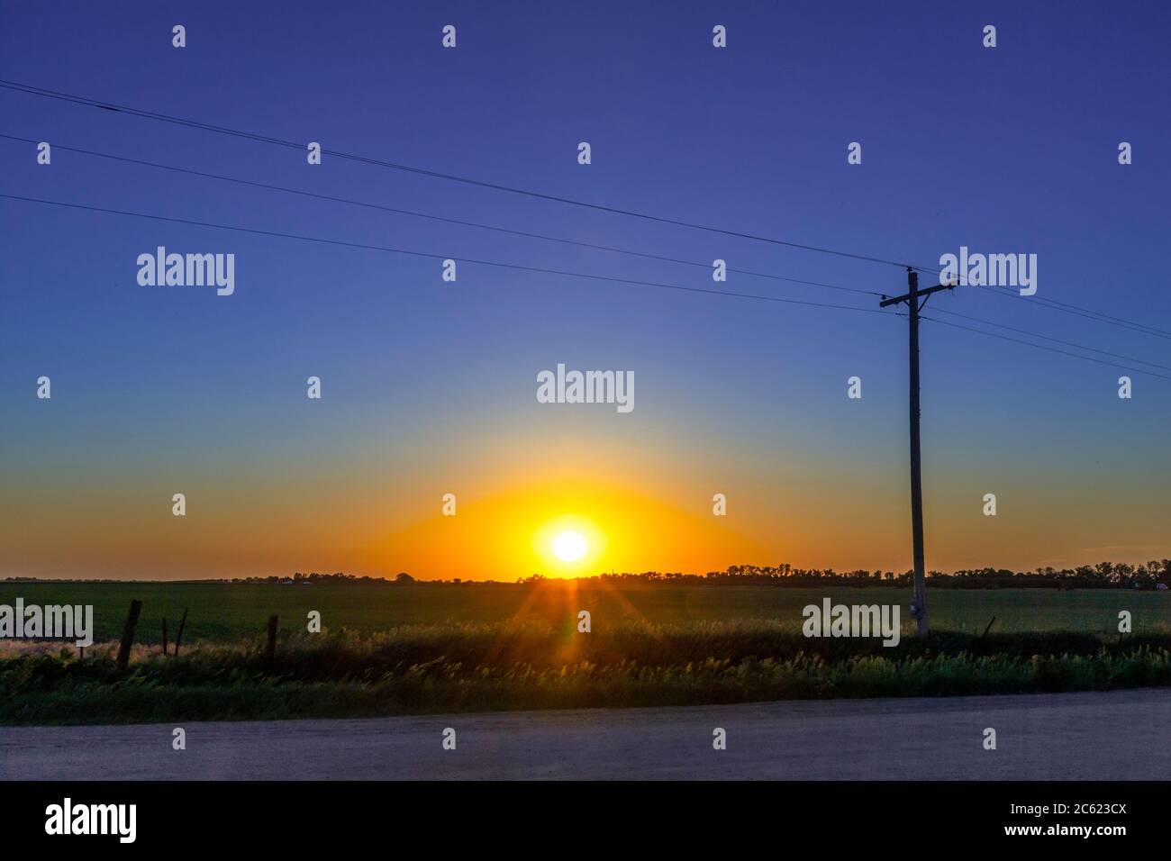 Tramonto e palo del telefono con cornfield al tramonto, Doniphan, Nebraska USA Foto Stock