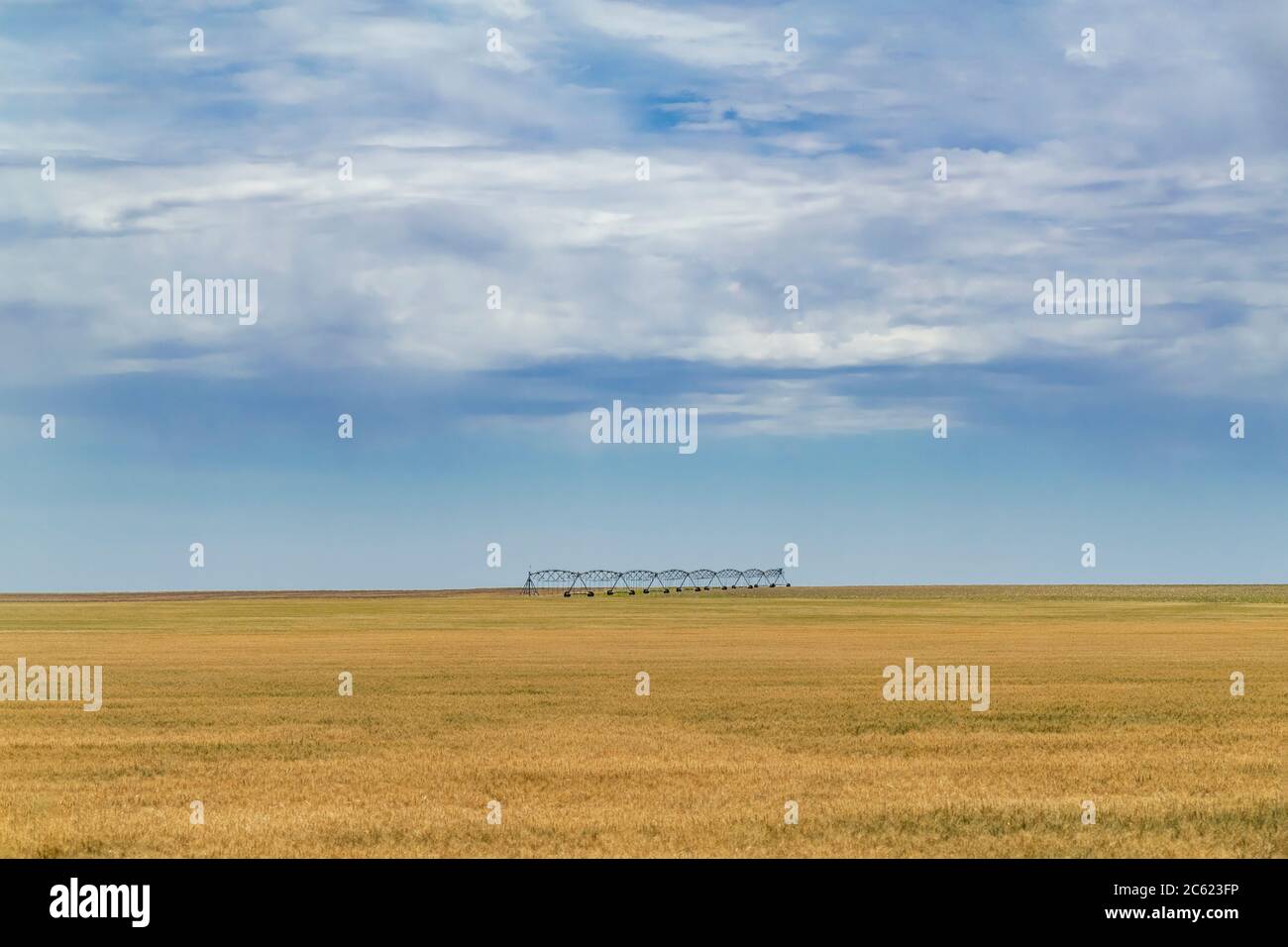 Attrezzatura di irrigazione nel mezzo di un campo di mais molto grande, Kansas, Stati Uniti Foto Stock