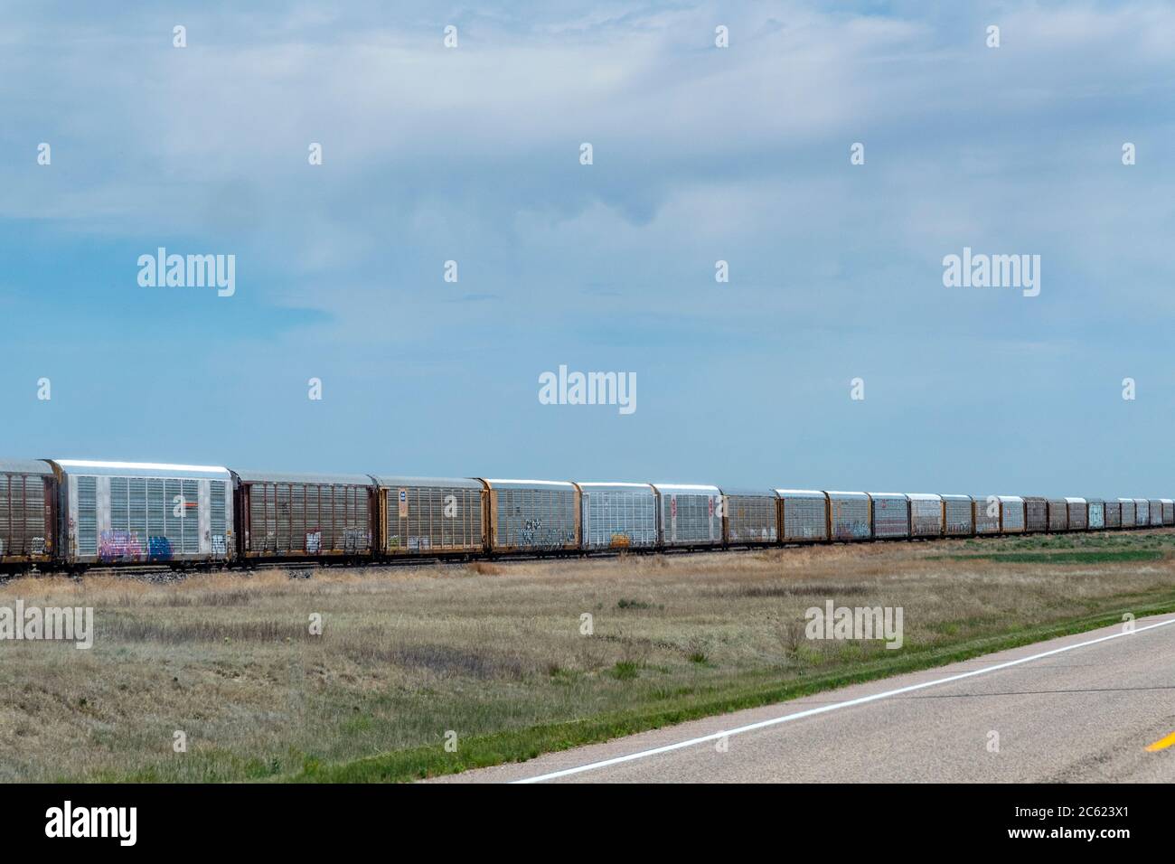 Linea di vagoni ferroviari, Wetmore, Colorado, USA Foto Stock