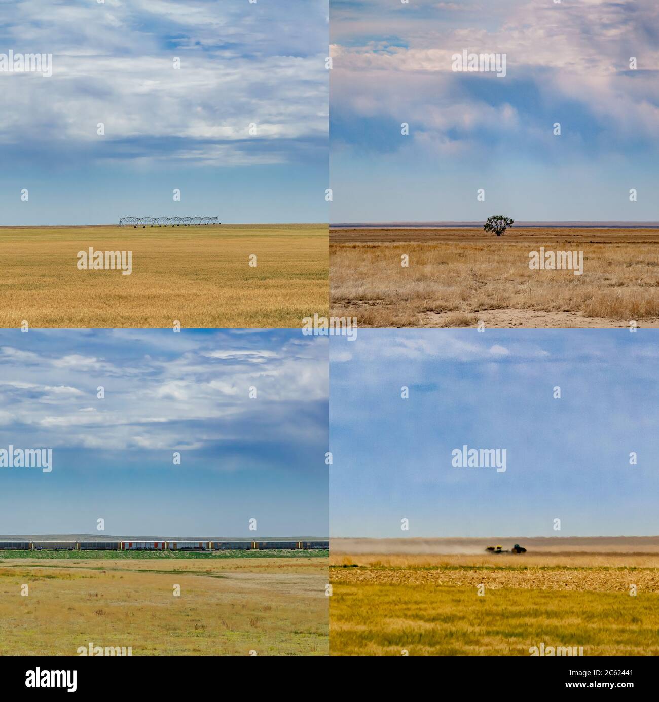 Quattro foto del campo di grano del Kansas assemblate in un montaggio quadruplo, Kansas USA Foto Stock