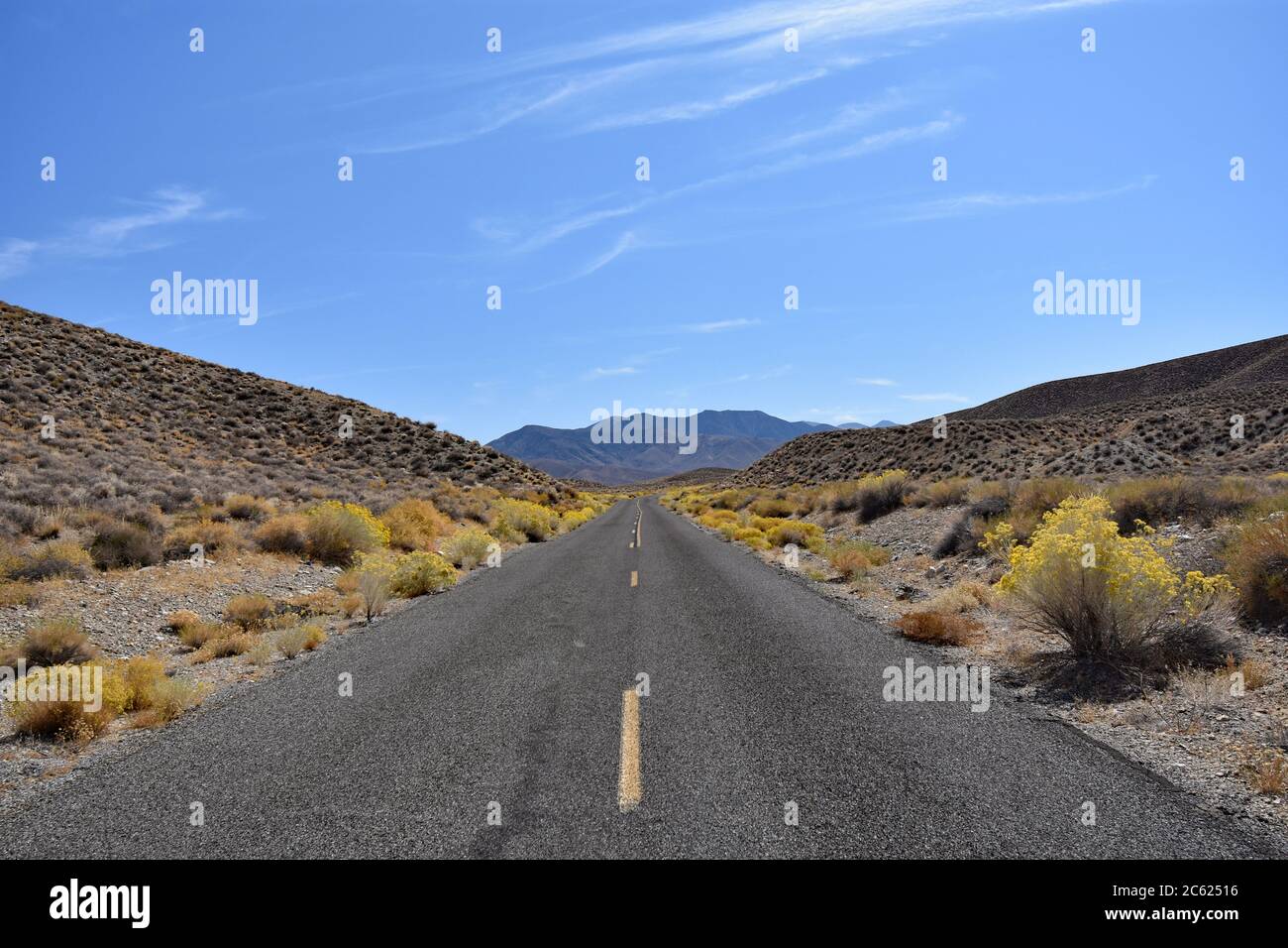 Cespugli gialli percorrano l'autostrada. Montagne del deserto marrone, cielo blu e sole. Guida panoramica, viaggio su strada negli Stati Uniti lungo Emigrant Canyon Road, Death Valley. Foto Stock
