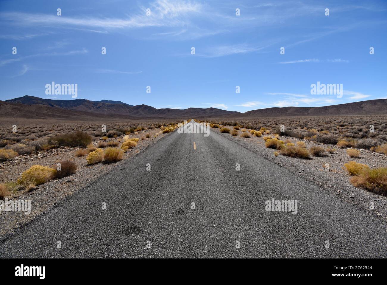 Cespugli gialli fiancheggiano la strada con linee gialle dipinte al centro. Montagne del deserto marrone e cielo blu. Emigrant Canyon Road Death Valley. Foto Stock