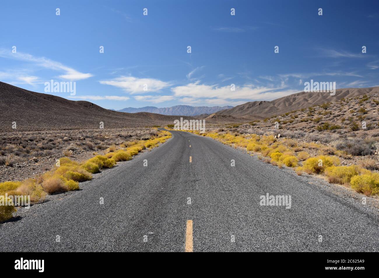 Cespugli gialli fiancheggiano la strada con linee gialle dipinte al centro. Montagne del deserto marrone e cielo blu. Emigrant Canyon Road, Death Valley. Foto Stock