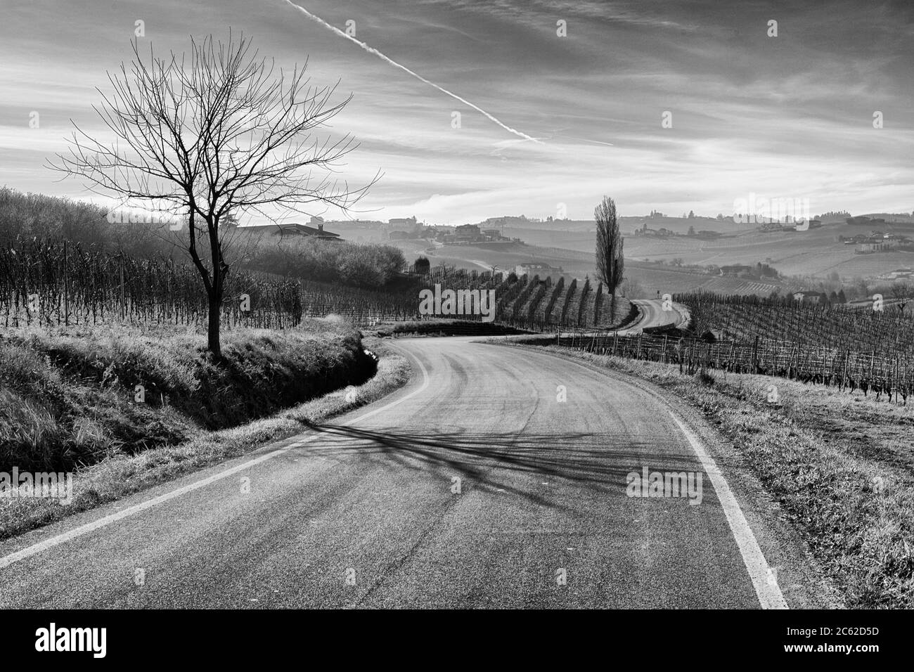 Paesaggio bianco e nero. Strada rurale nelle campagne delle Langhe vicino Calosso, Piemonte, Italia Foto Stock