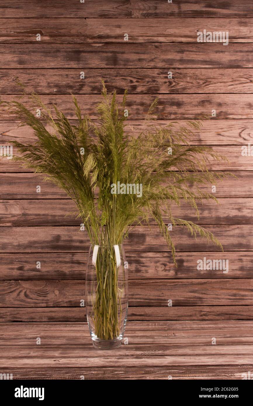 Bouquet verde di fiori selvatici freschi in vaso di vetro, su sfondo naturale di legno con copyspace per il tuo testo. Stile di vita sostenibile e giardino domestico Foto Stock