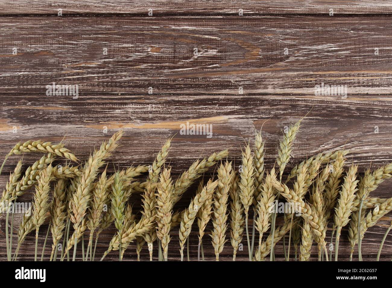 Primo piano di orecchie di segale, su tavola di legno naturale con copyspace per il tuo testo. Concetto di agricoltura sostenibile e intelligente Foto Stock