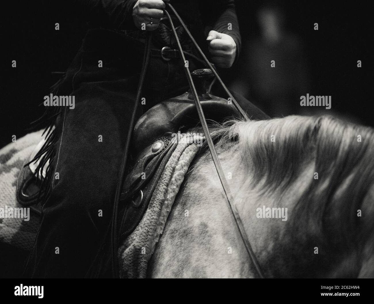 Cavalcare un cavallo in stile occidentale in tonalità monocromatiche Foto Stock Cavalcare un cavallo in stile occidentale in tonalità monocromatiche Foto Stock