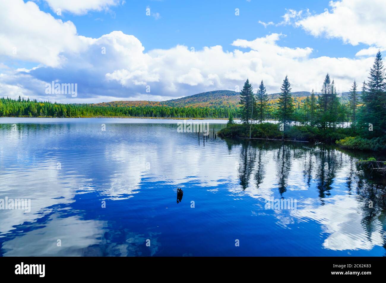 Vista del Lac-des-Dix-Milles lago a Mont Tremblant National Park, Quebec, Canada Foto Stock