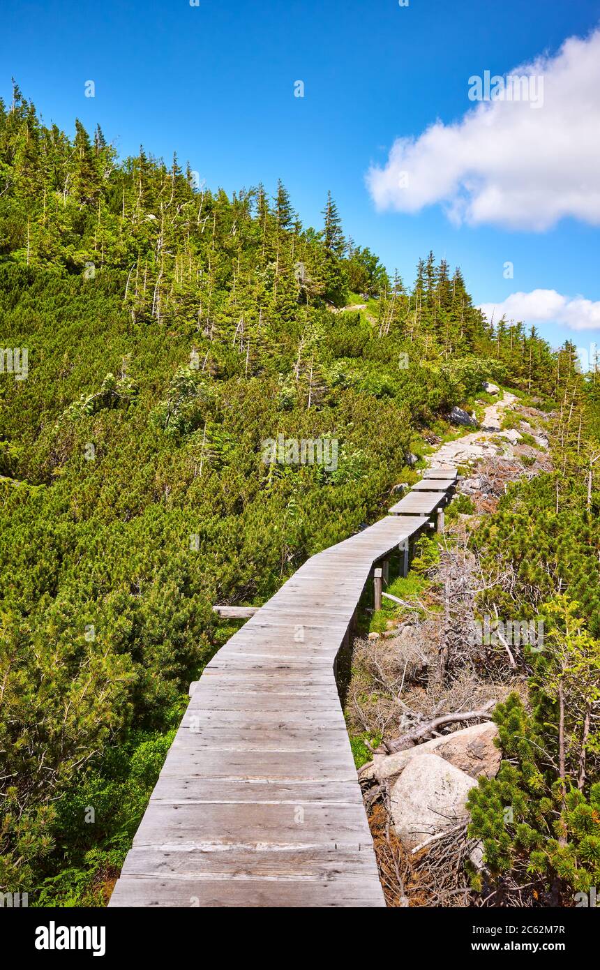 Sentiero ponte in legno di montagna nel Parco Nazionale di Karkonosze, Polonia. Foto Stock