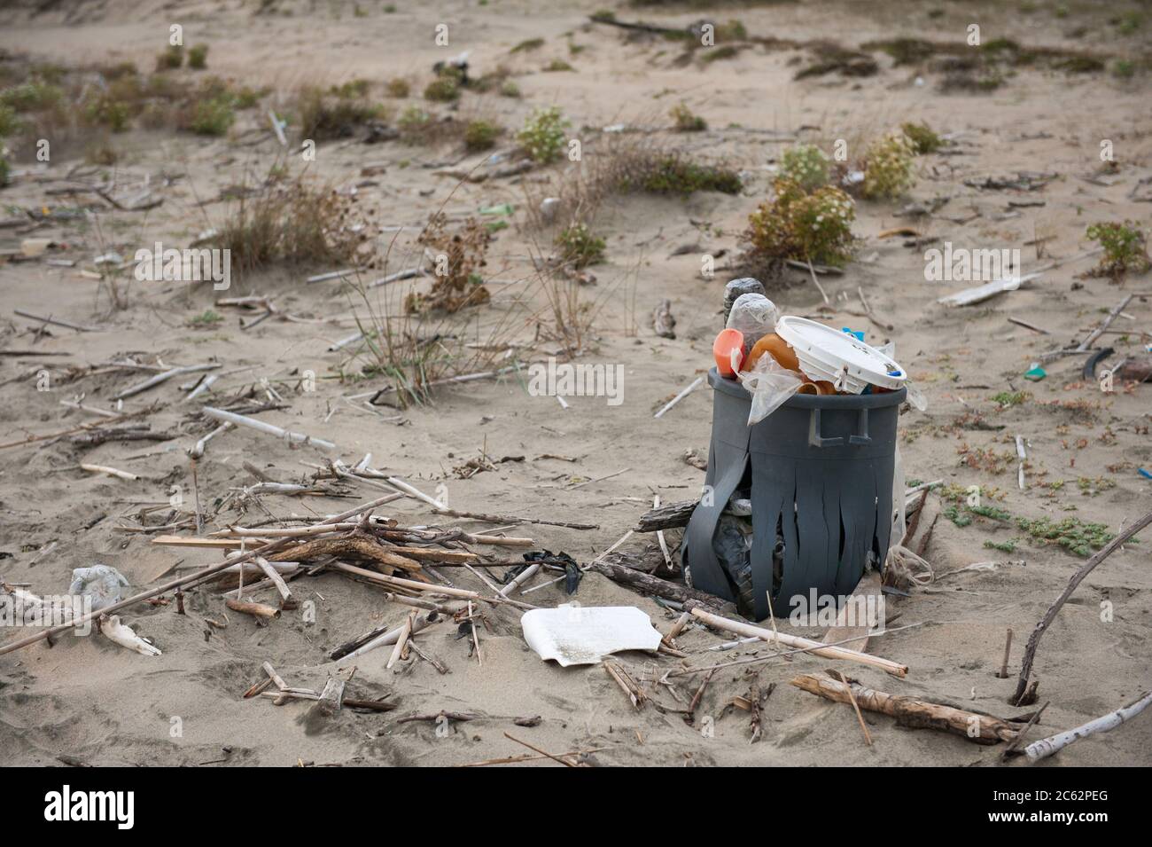 Nettuno, Roma, 06/09/2014: Spiaggia di Torre Astura. Foto Stock