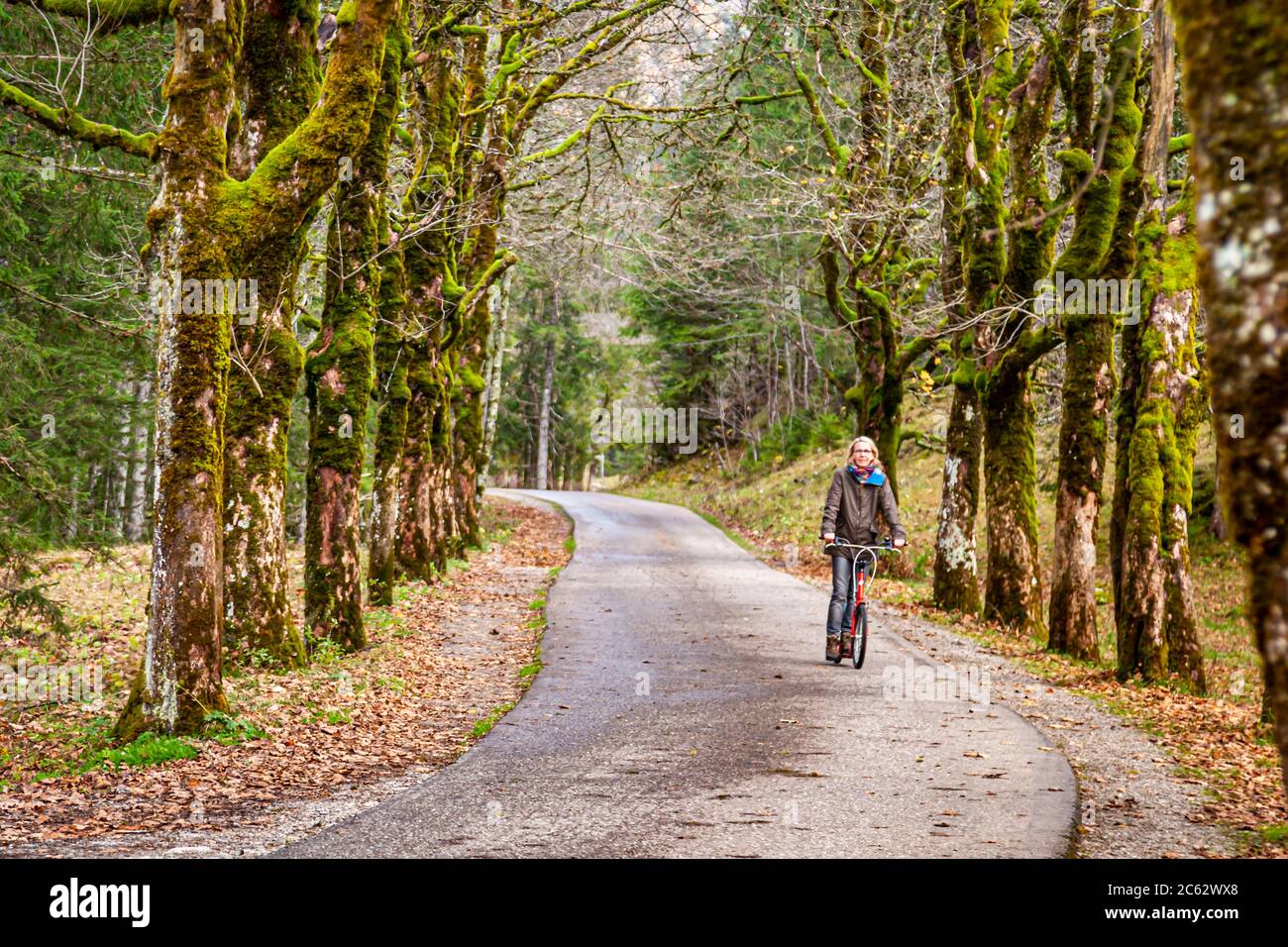 Un pattinatore di monopattino scende il viale degli alberi vicino all'Oy-Alm di Oberstdorf, Bavaria, Germania. Foto Stock