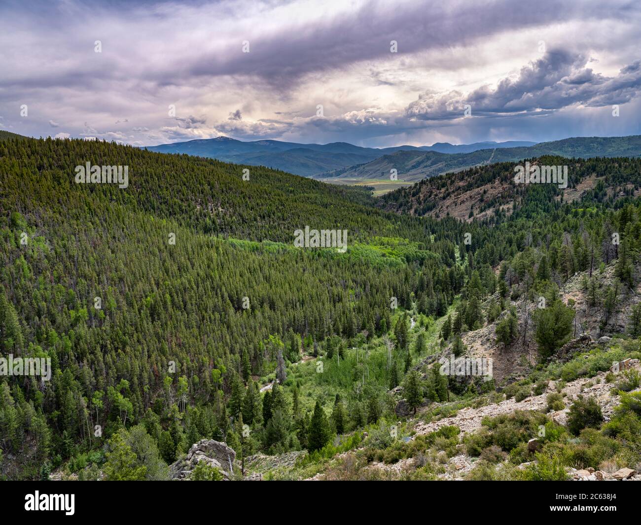 Montagne e valle vicino Monarch Colorado, Stati Uniti Foto Stock