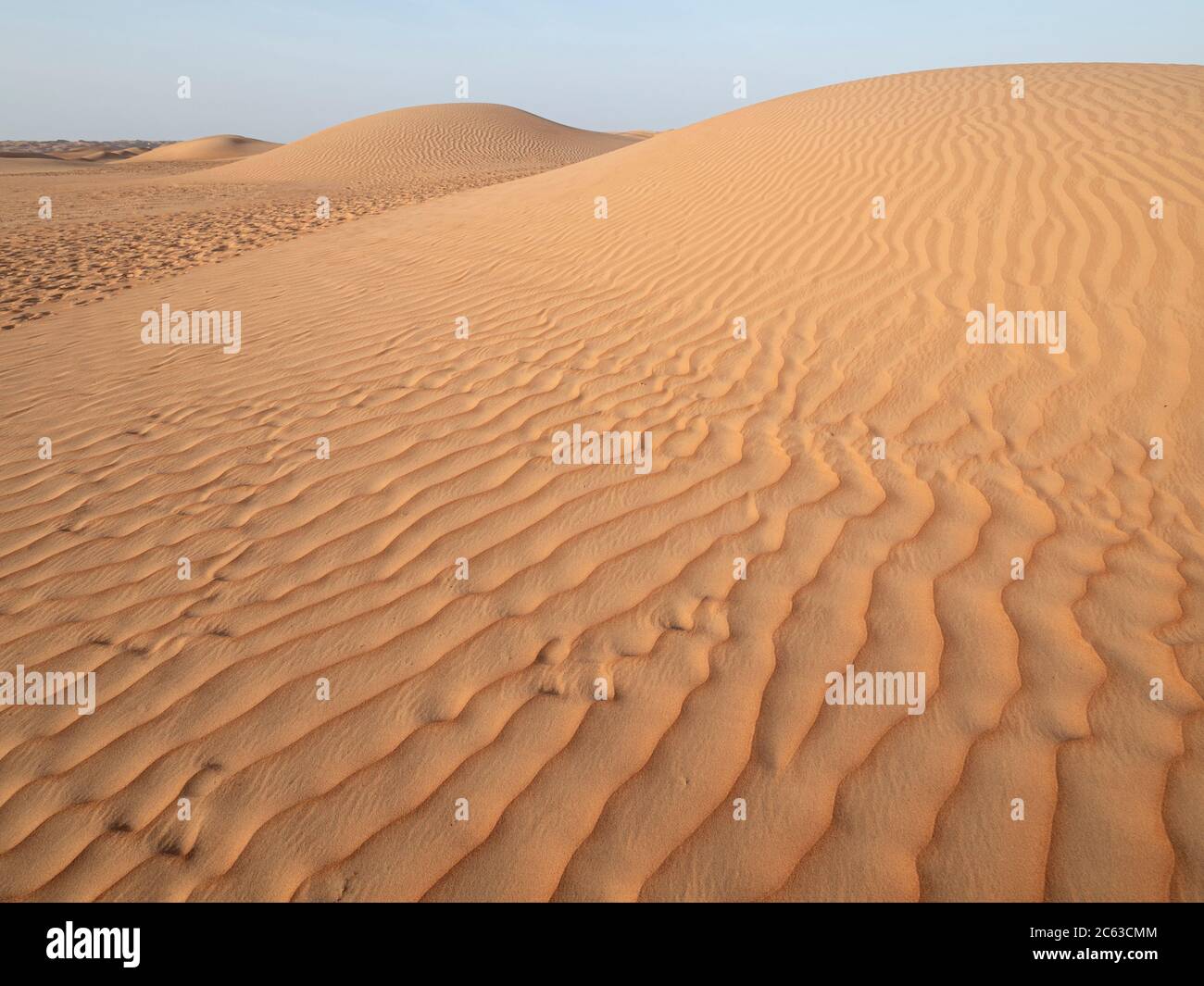 Dune di sabbia nel deserto di Ramlat al Wahiba, conosciuto localmente come il quartiere vuoto, il Sultanato dell'Oman. Foto Stock