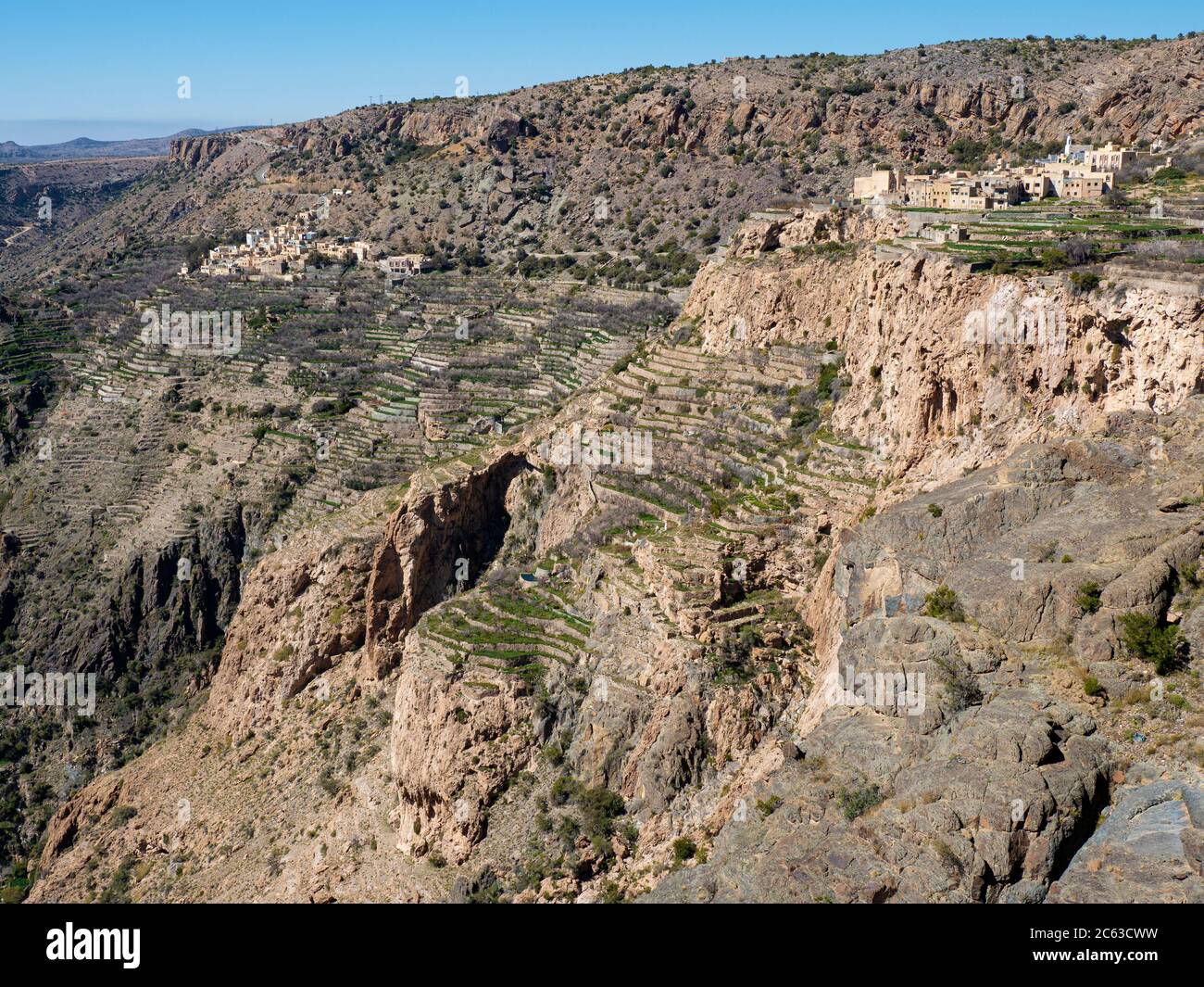 I giardini terrazzati fiancheggiano le scogliere vicino ai villaggi tradizionali dell'altopiano di Sayq, Sultanato di Oman. Foto Stock