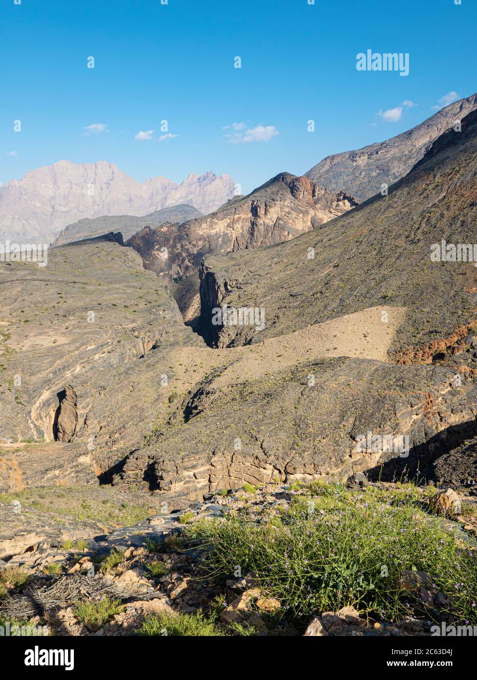 Snake Canyon a Wadi Bani Awf, Sultanato dell'Oman. Foto Stock