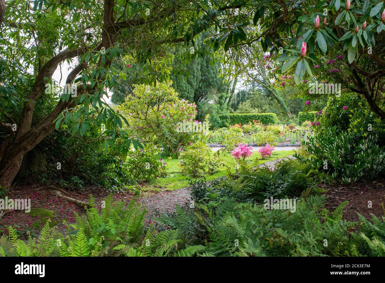 Passeggiata nel giardino presso Wells House and Gardens nella contea di Wexford, Irlanda Foto Stock