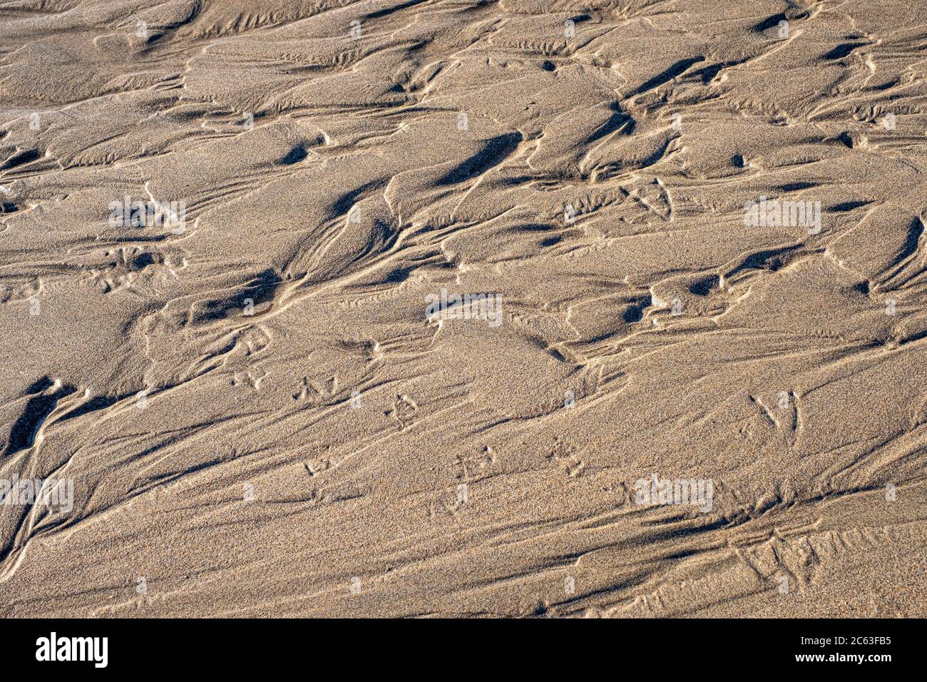 Rivoli e stampe sulla spiaggia di sabbia accanto al mare, Devon. Riassunto Foto Stock