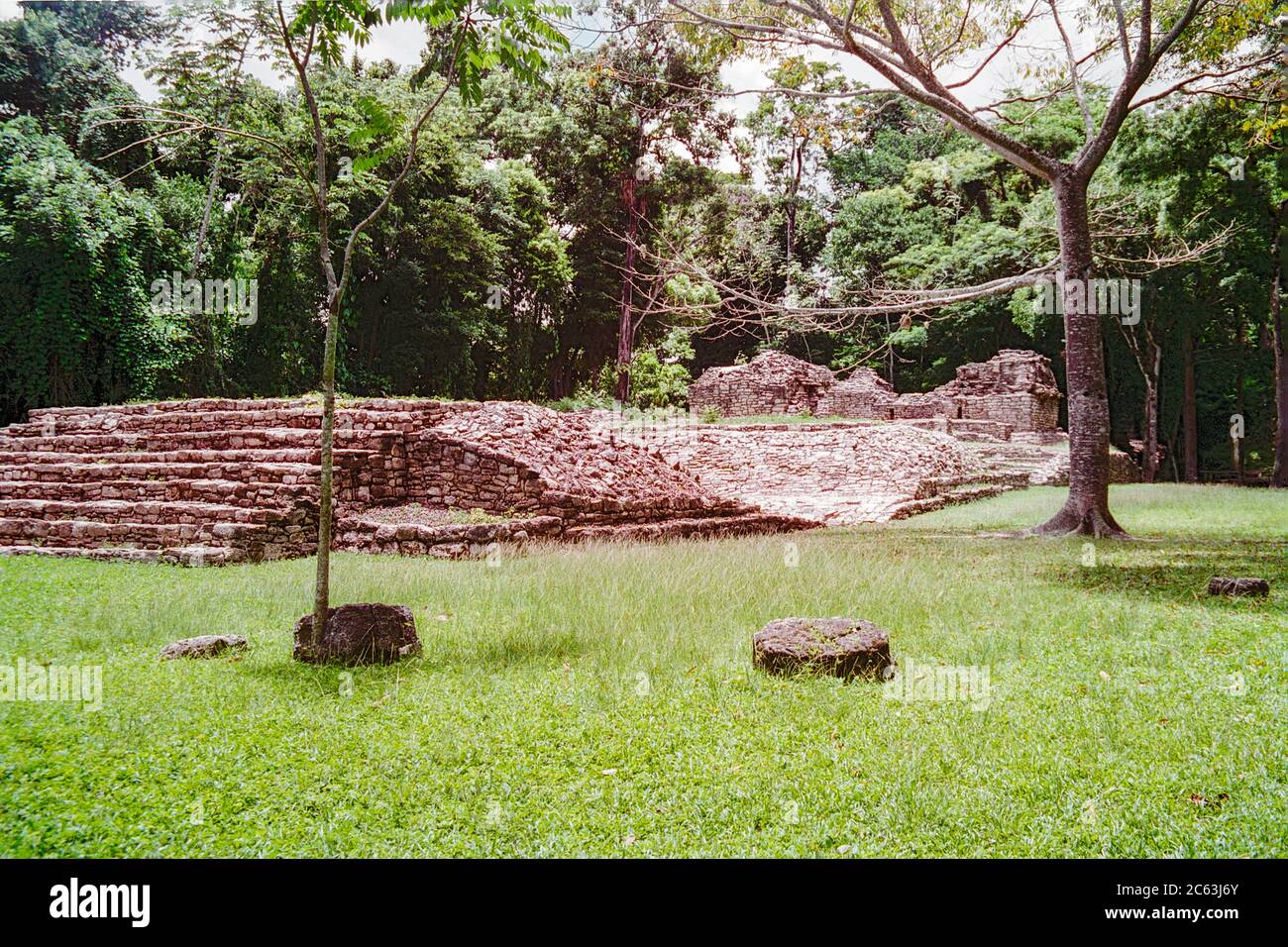 Rovine Maya di Yaxchilan. Chiapas, Messico. Immagine vintage ripresa su pellicola - inizio anni '90. Foto Stock