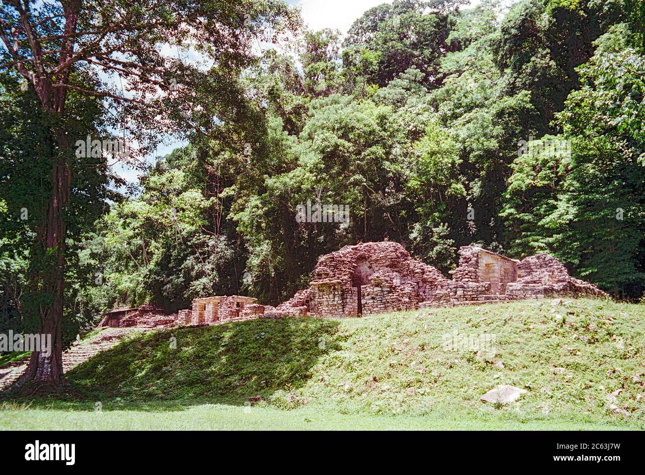 Rovine Maya di Yaxchilan. Chiapas, Messico. Immagine vintage ripresa su pellicola - inizio anni '90. Foto Stock