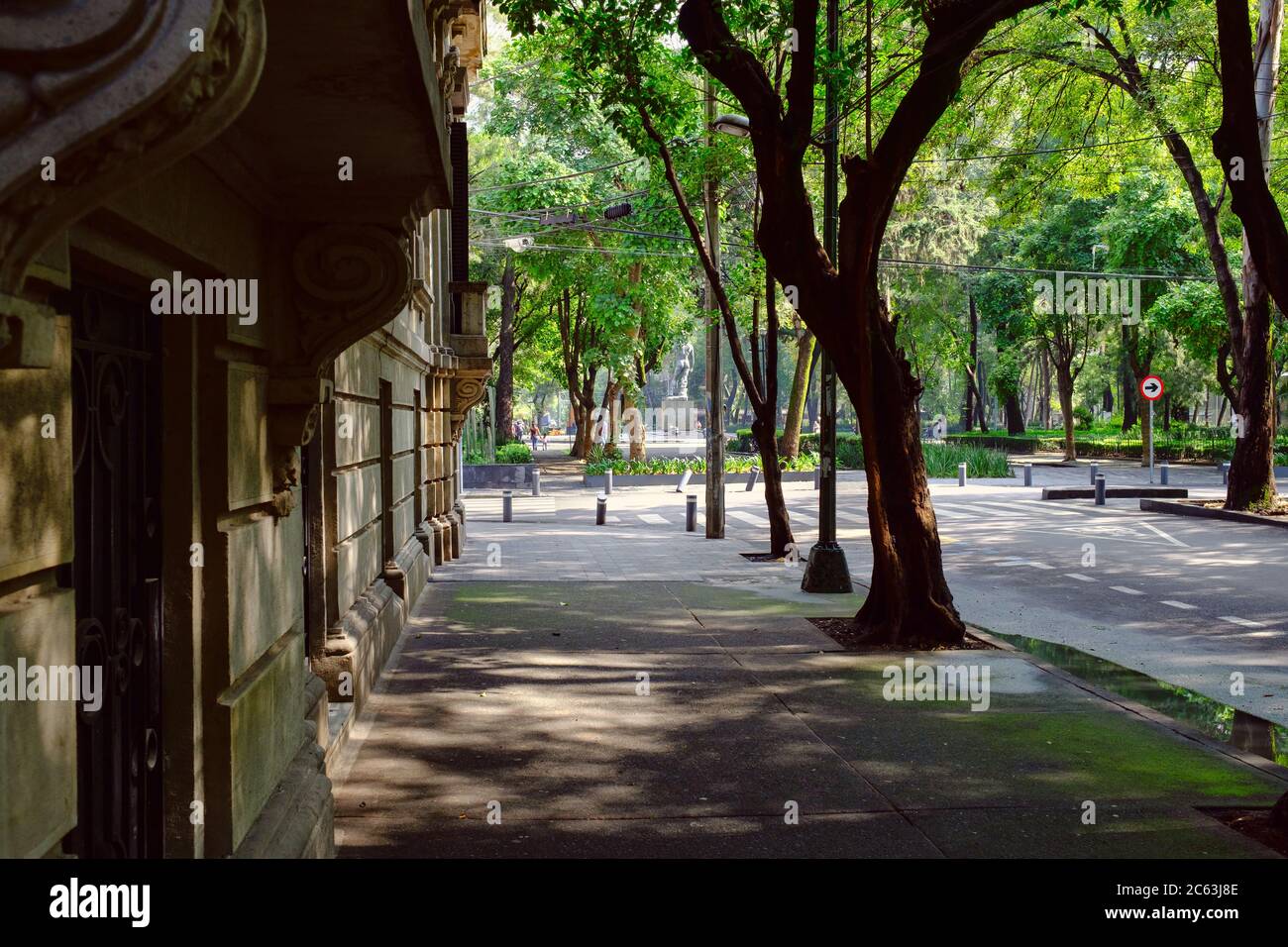 Scena di strada a Roma Norte, un quartiere alla moda di Città del Messico Foto Stock