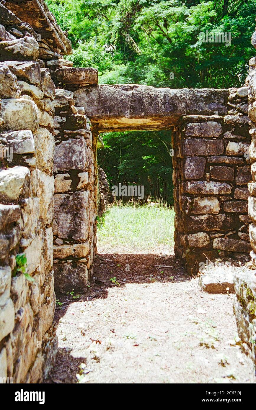 Struttura 23. Rovine Maya di Yaxchilan. Chiapas, Messico. Immagine vintage ripresa su pellicola - inizio anni '90. Foto Stock