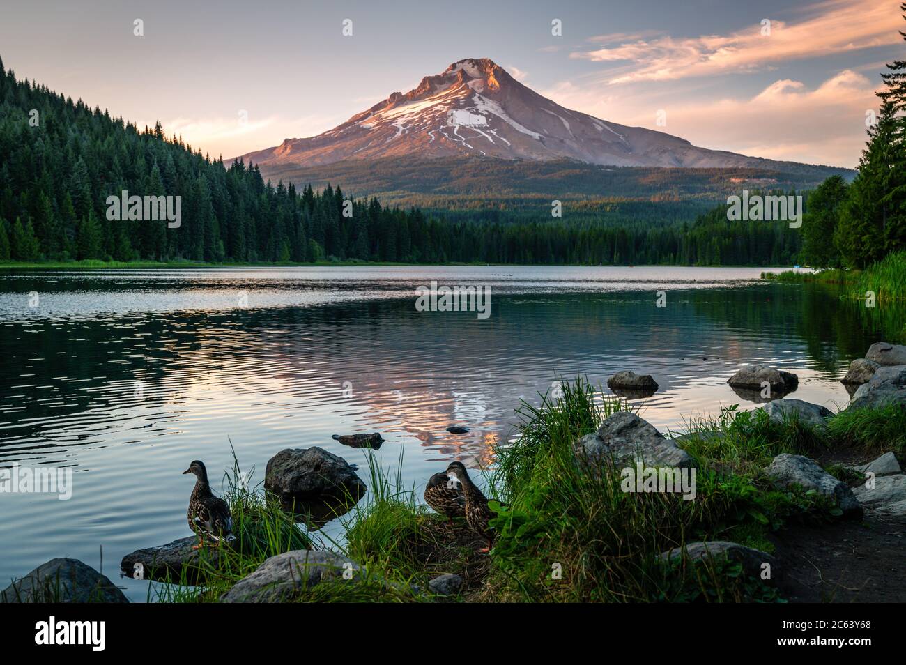 Splendida vista dal lago Trillium al monte Hood in Oregon Foto Stock