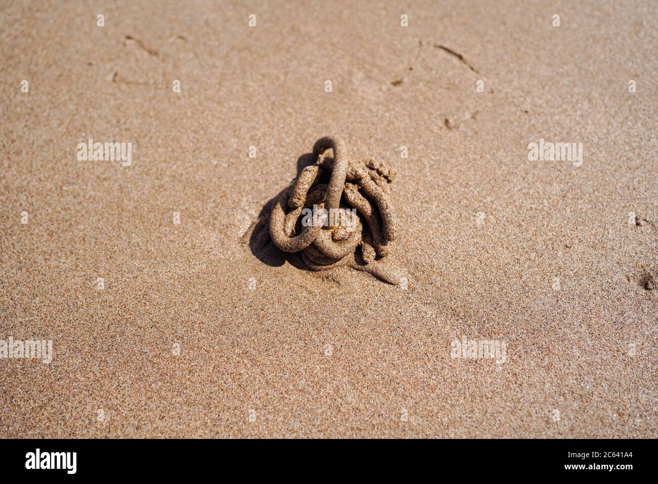 Cumulo di sabbia formato da verme sulla spiaggia, Oman Foto Stock