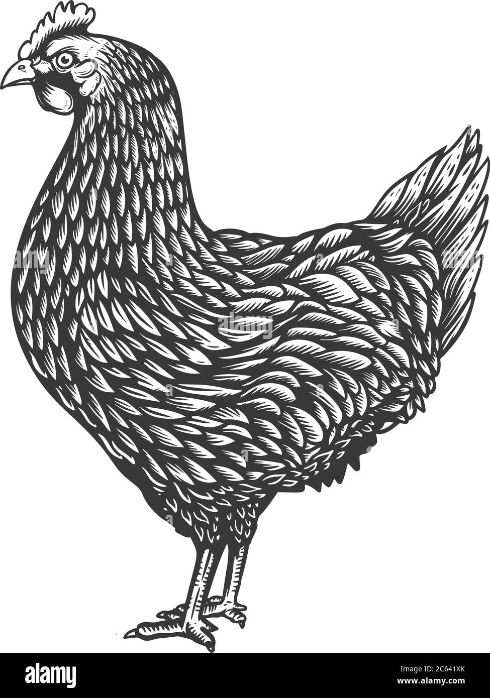 Illustrazione del pollo in stile di incisione. Elemento di progettazione per emblema, cartello, poster, cartoncino, banner, volantino. Illustrazione vettoriale Illustrazione Vettoriale