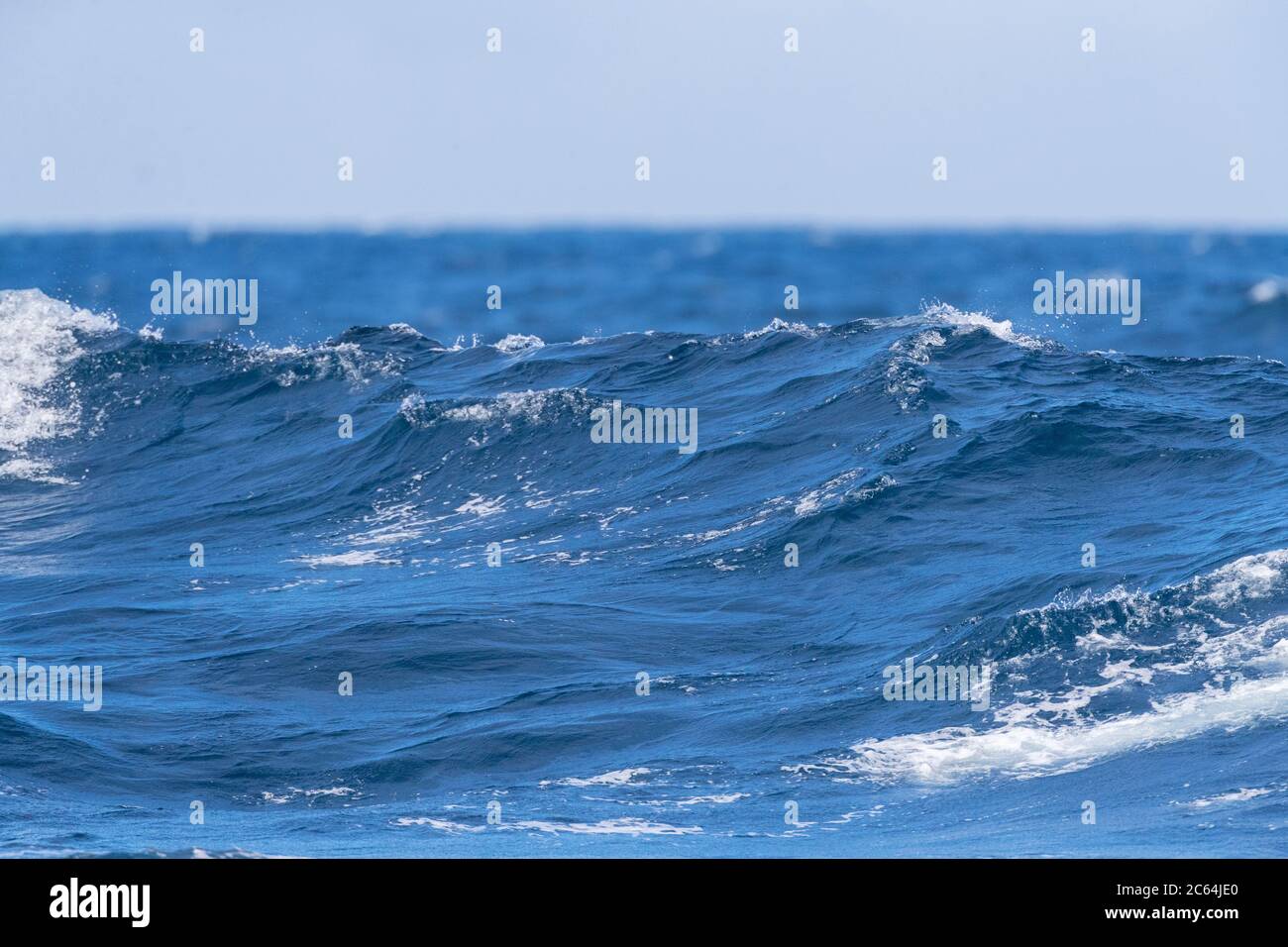 Grande onda che si avvolgono sulla superficie dell'oceano al largo delle Snares, Nuova Zelanda subantartica. Foto Stock