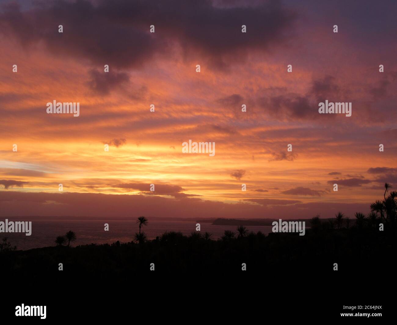 Dopo il tramonto sull'isola di Tiritiri Matangi nel Golfo di Hauraki, Nuova Zelanda. Foto Stock