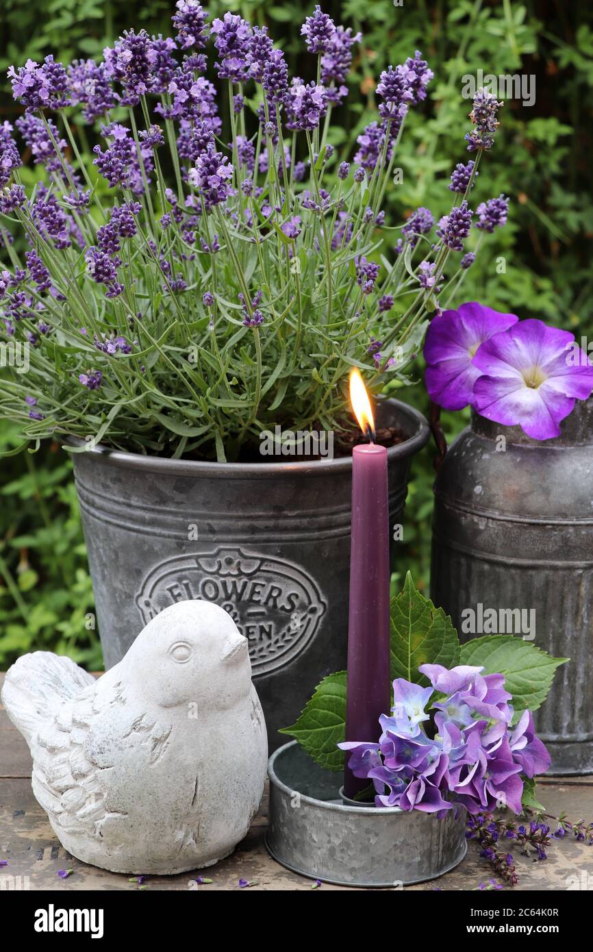decorazione giardino estivo con lavanda, candela e uccello di cemento Foto  stock - Alamy