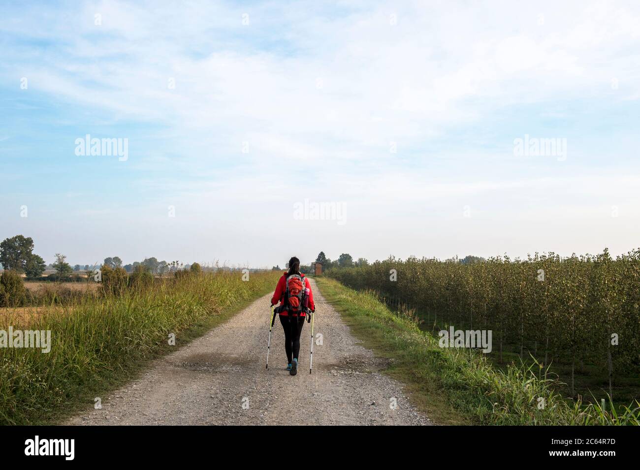 Italia, Lombardia, Lodi, Orio Litta, Via Francigena Foto Stock