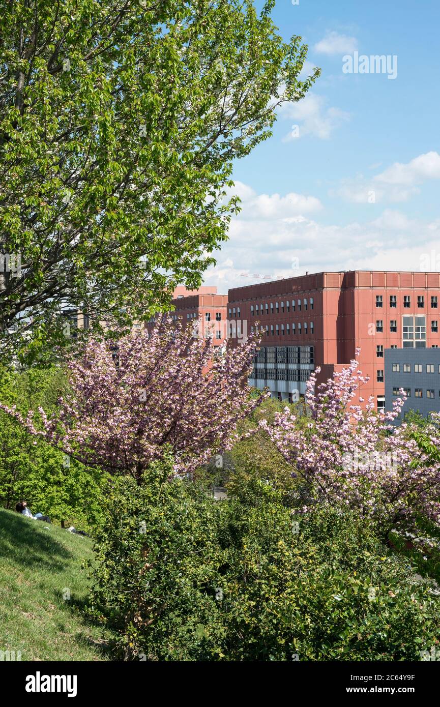 Italia, Lombardia, Milano, quartiere Bicocca, particolare dell'Università progettata da Vittorio Gregotti Foto Stock