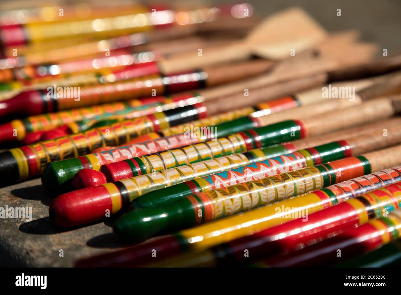 Paesaggio e attività della gente del posto in Kutch Gujarat India Foto Stock