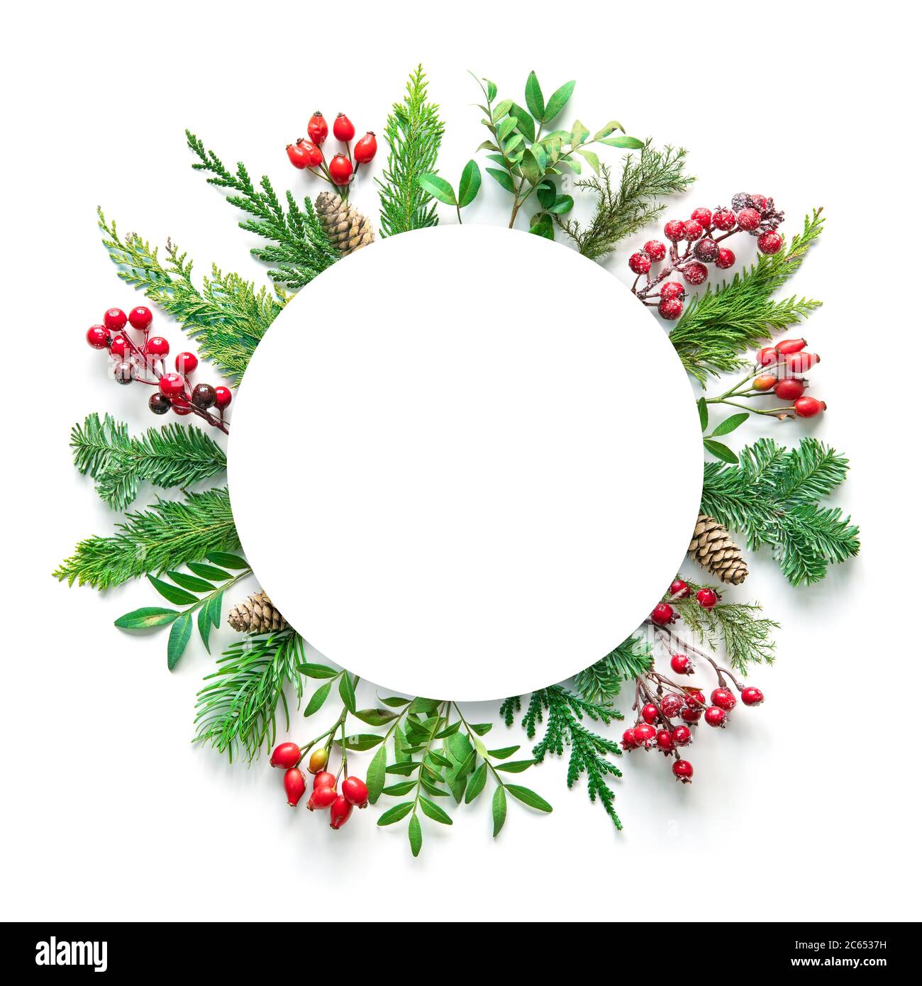 Composizione piatta con rami di abete invernale, coni, agrifoglio e cartoncino bianco su sfondo bianco. Spazio di copia per il testo Foto Stock