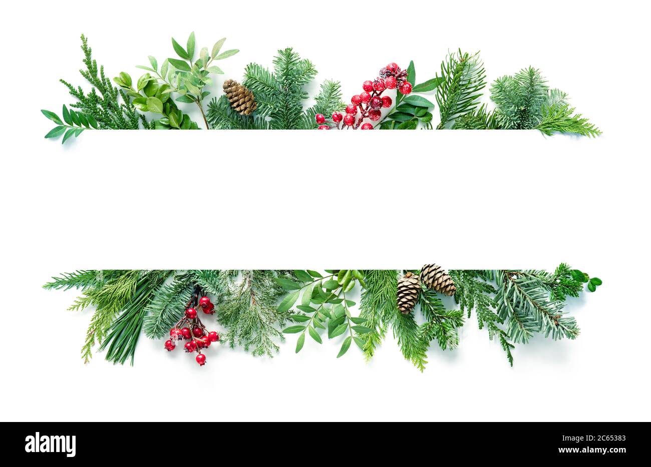 Composizione piatta con rami di abete invernale, coni, isolati agilmente su sfondo bianco. Spazio di copia per il testo Foto Stock
