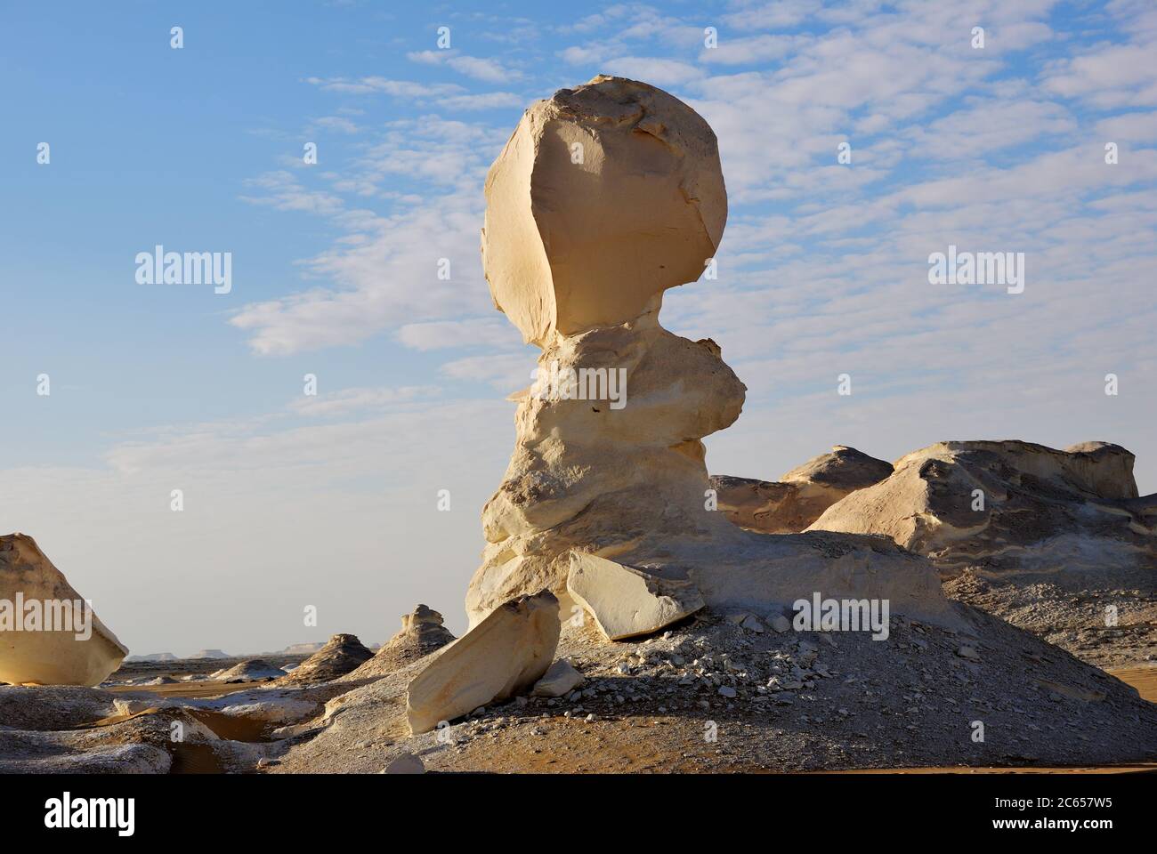 Belle formazioni rocciose astratte della natura, aka sculture nel deserto Bianco Occidentale, Sahara. Egitto. Africa Foto Stock