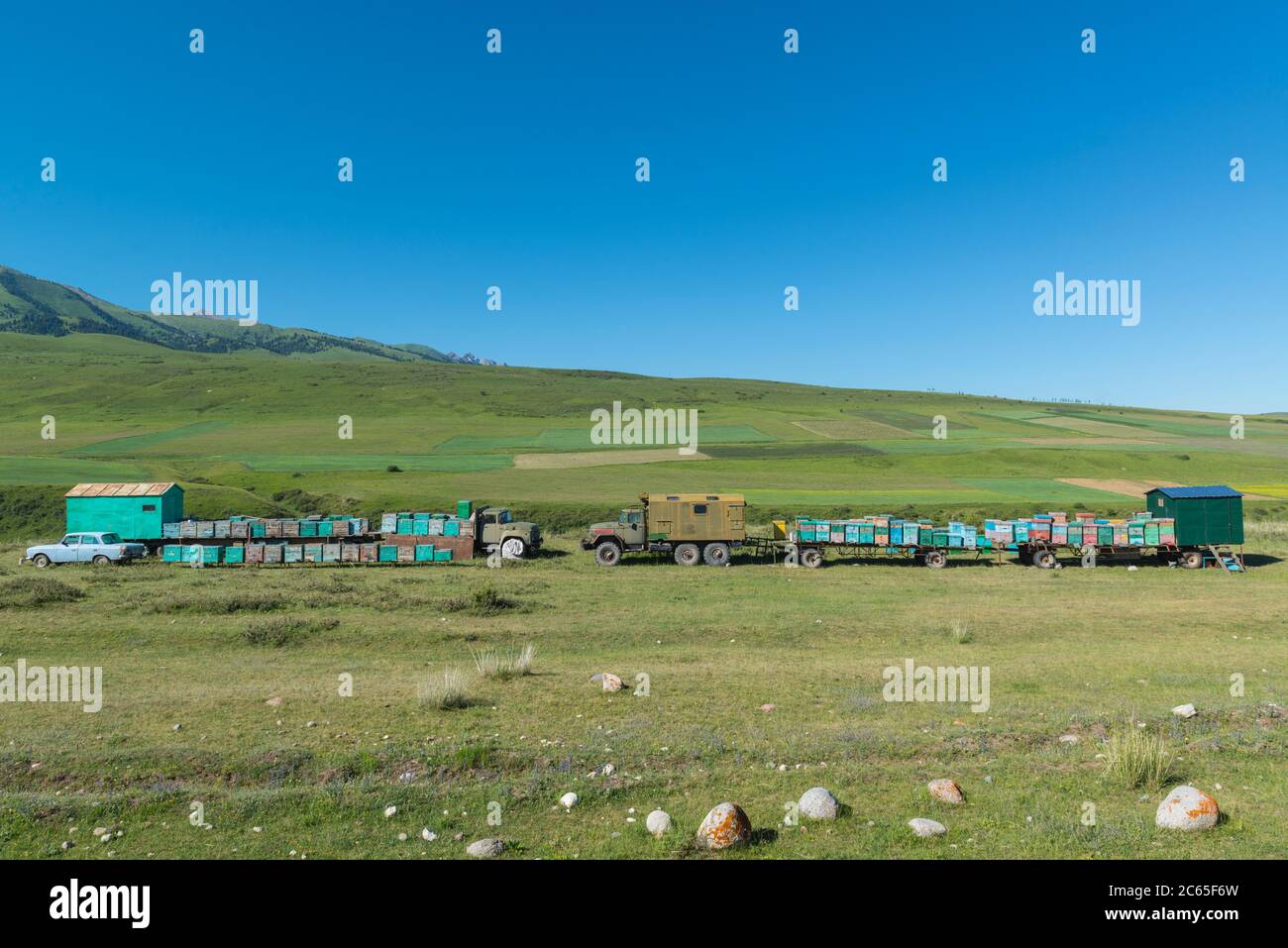 Apicoltori mobili negli altopiani del Kirghizistan Foto Stock