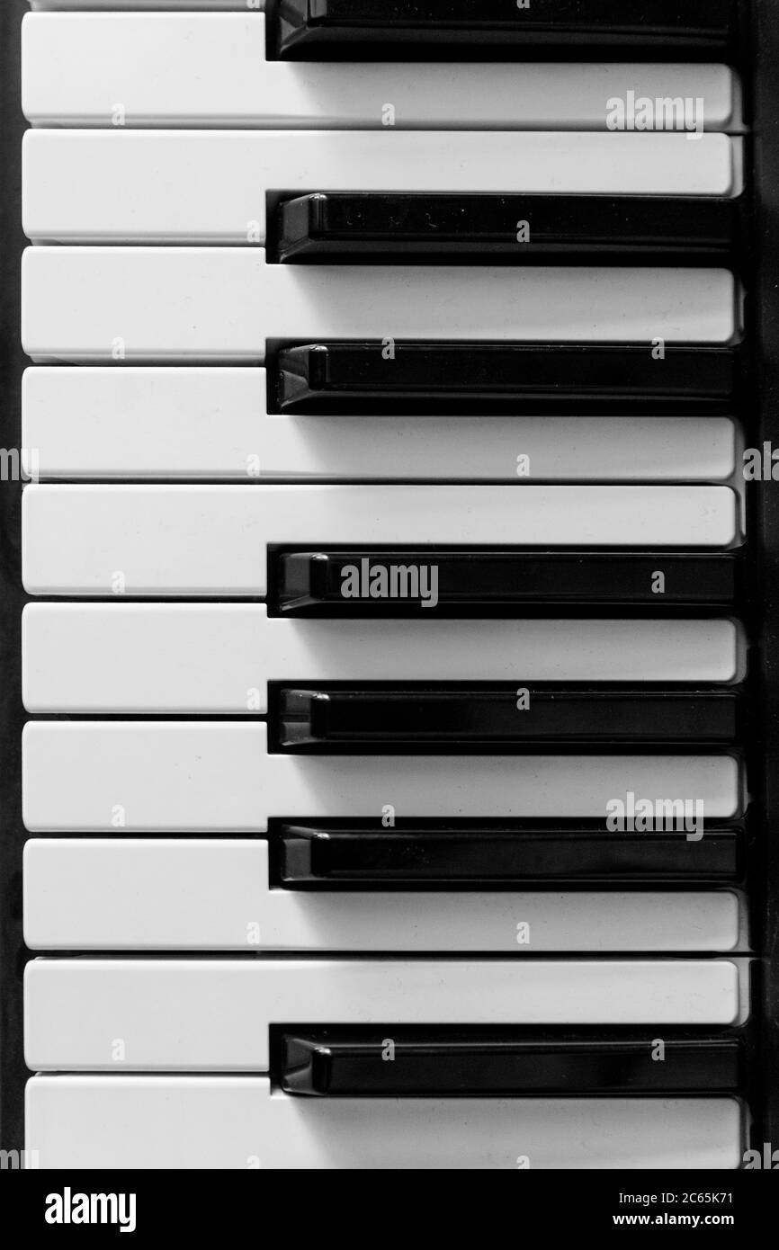 Primo piano tasti in bianco e nero, piano, tastiera, fisarmonica Foto Stock