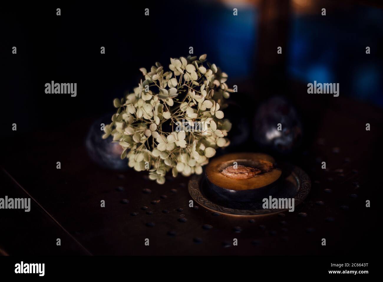 Prugna e fiore essiccato su sedia Foto Stock