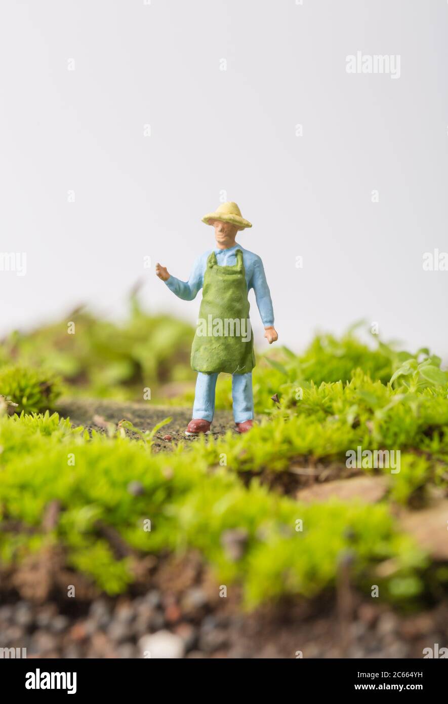 Giovane uomo che lavora su erba verde Foto Stock