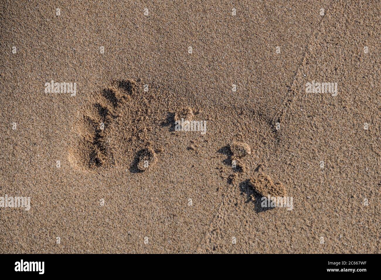 Impronta in sabbia Foto Stock