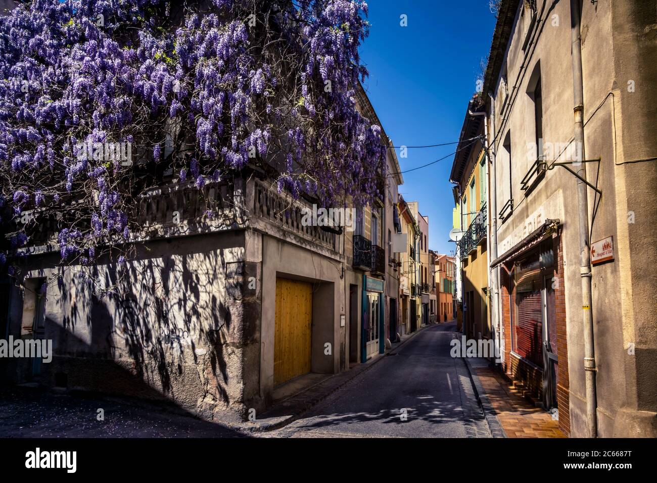Vicolo nel centro del villaggio di Ille sur Têt, glicine casa coperta in primavera, Foto Stock