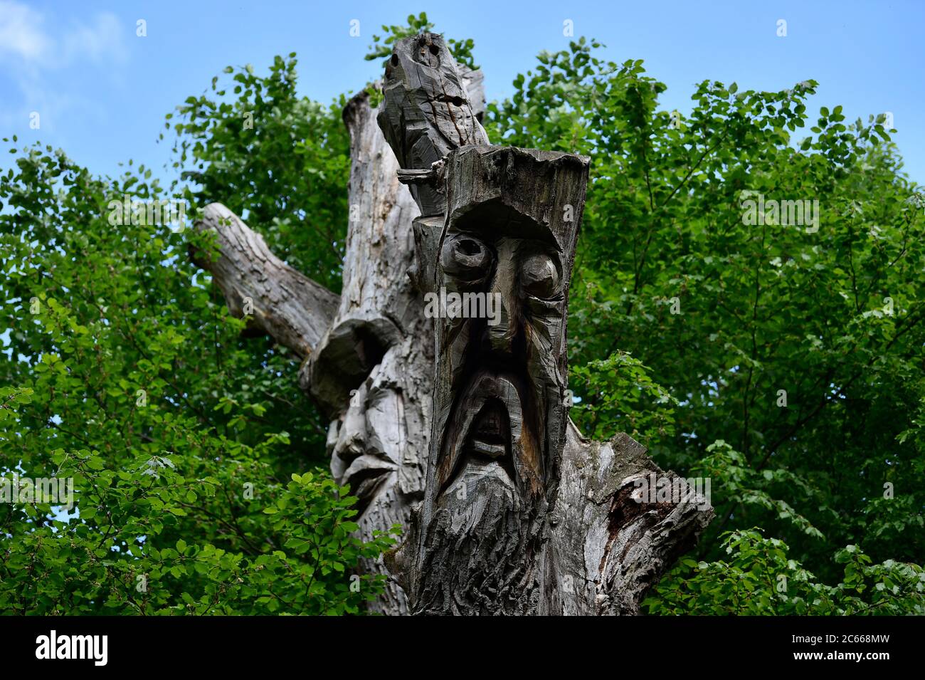 Volti scolpiti in un tronco di alberi morti a Lake Bear, Stoccarda, Baden-Württemberg, Germania Foto Stock