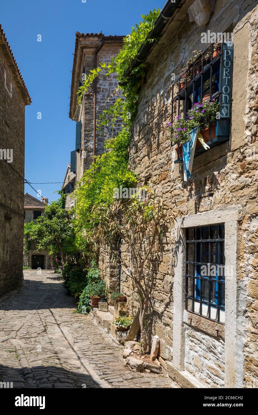 Strada stretta nel villaggio di montagna di Groznjan, Istria, Croazia Foto Stock