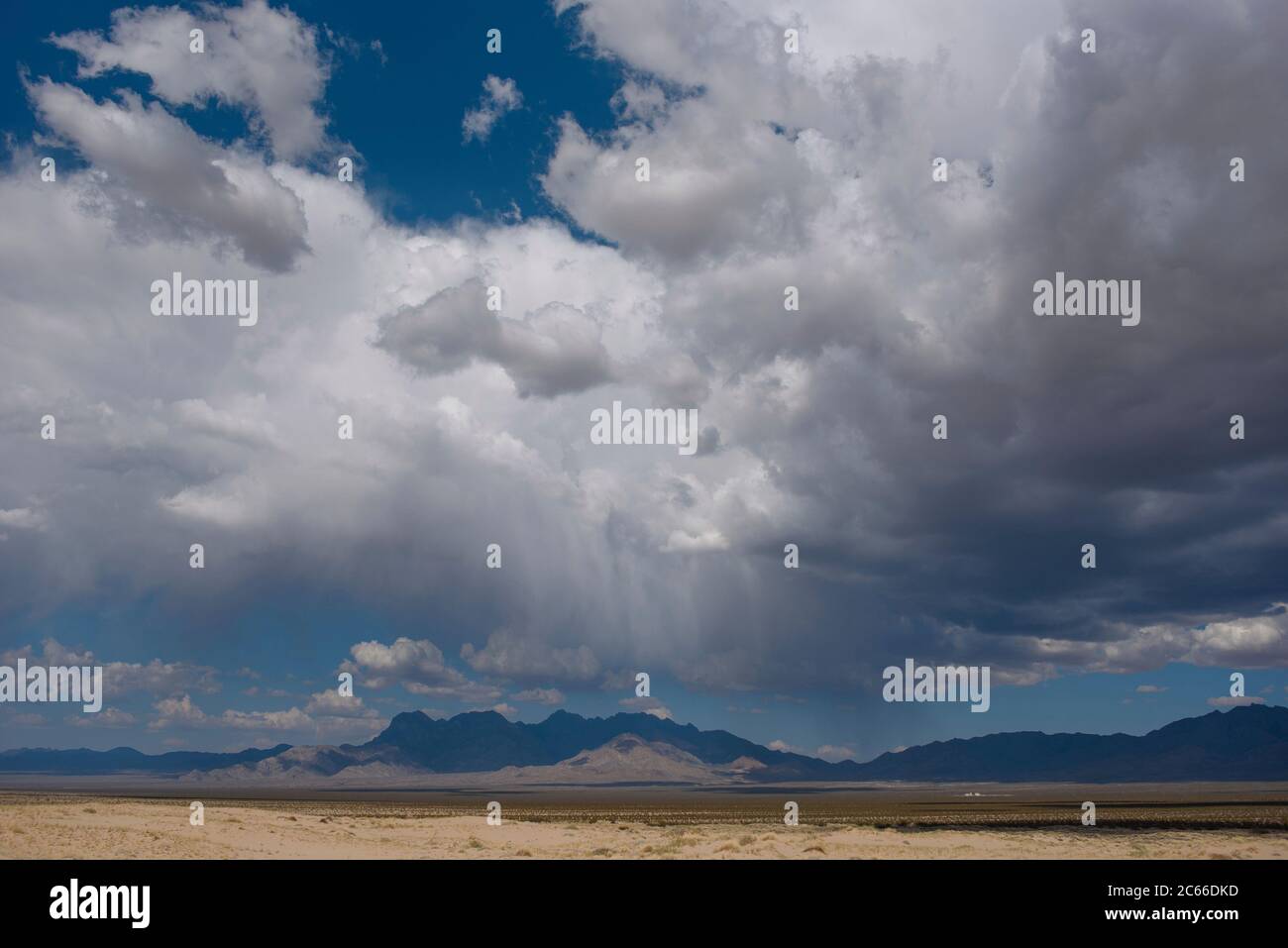 Nel deserto di Mojave in California, Stati Uniti Foto Stock