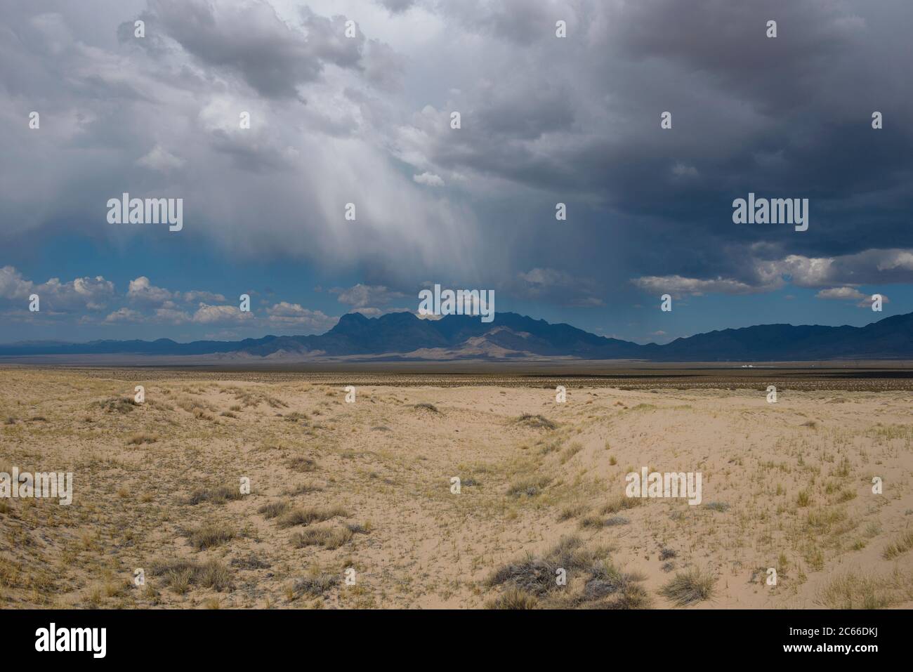 Nel deserto di Mojave in California, Stati Uniti Foto Stock