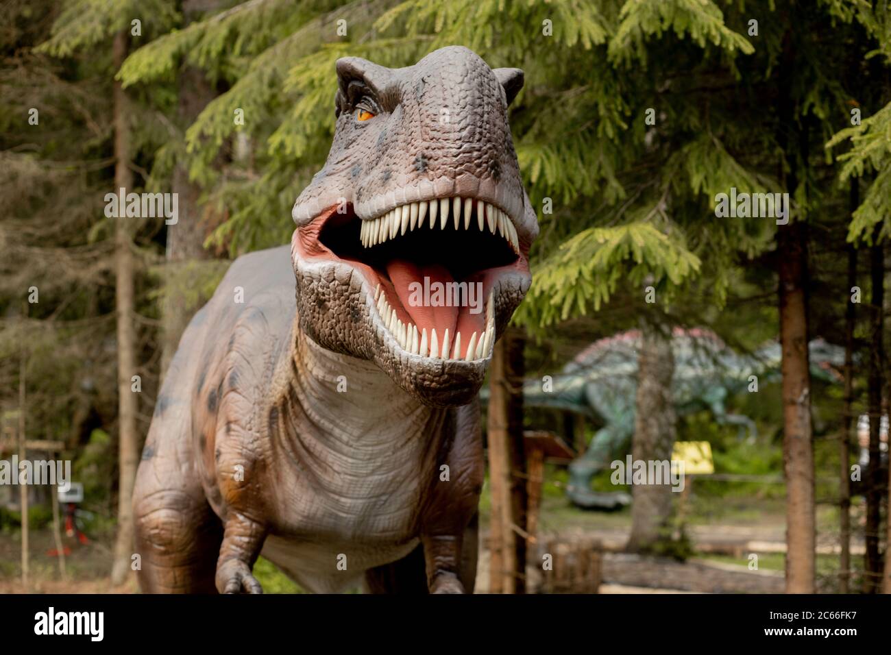 Il tirannosauro Rex o T-Rex è un genere carnivoro di dinosauro teropodico Coelurosauriano, vissuto nel periodo Cretaceo, in seguito Foto Stock
