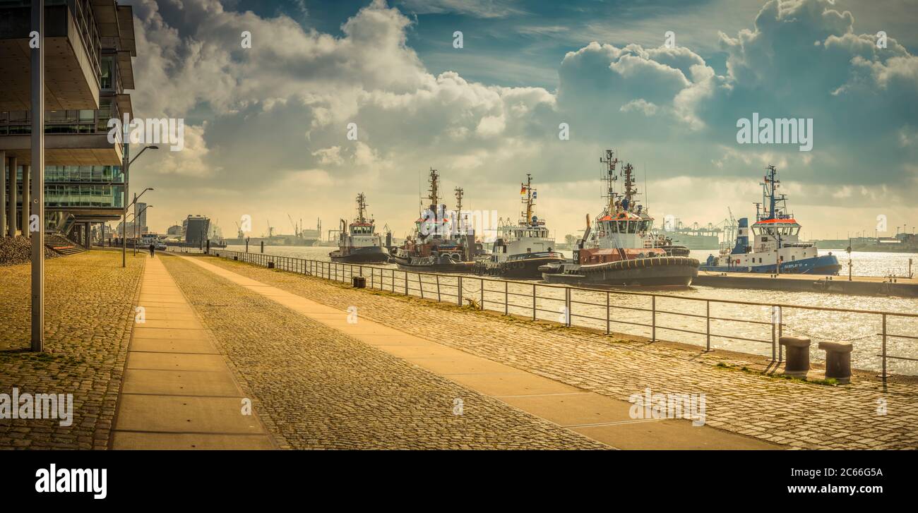 Germania, Amburgo, fiume Elba, porto, Neumühlen, molo, rimorchiatore Foto Stock