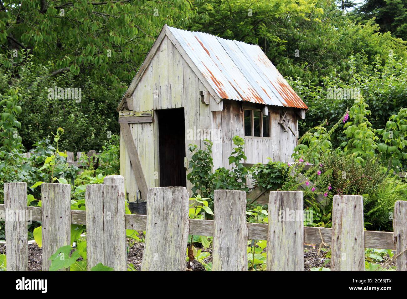 Vecchio abbandonato Shed dietro recinto di legno Foto Stock